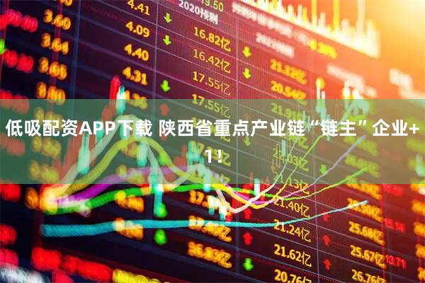 低吸配资APP下载 陕西省重点产业链“链主”企业+1！