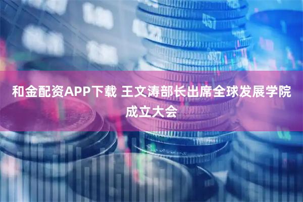 和金配资APP下载 王文涛部长出席全球发展学院成立大会